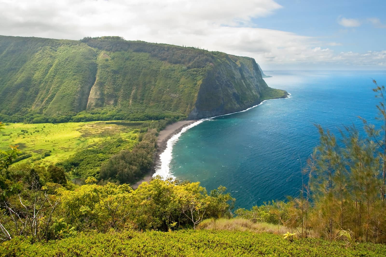 tours from big island to pearl harbor