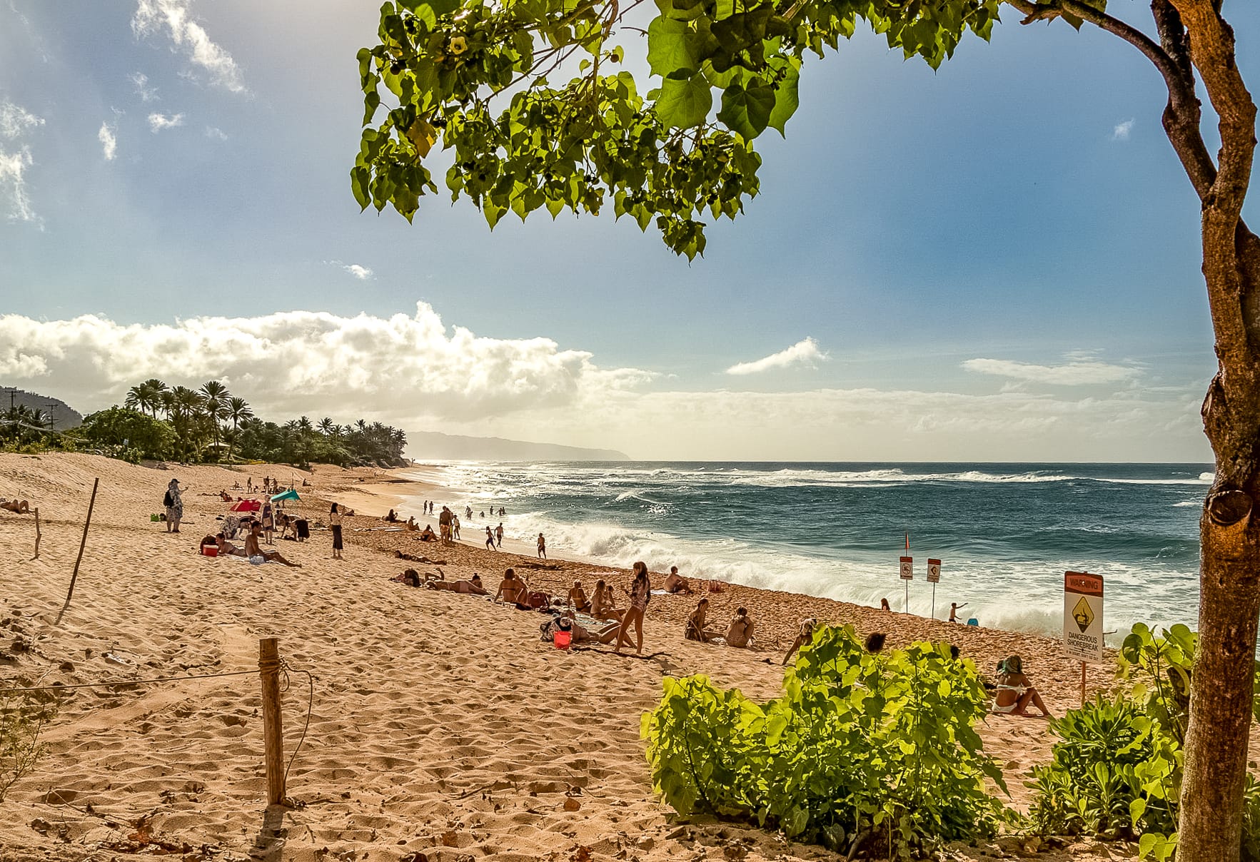 North Shore Oahu Haleiwa Best Beaches And More